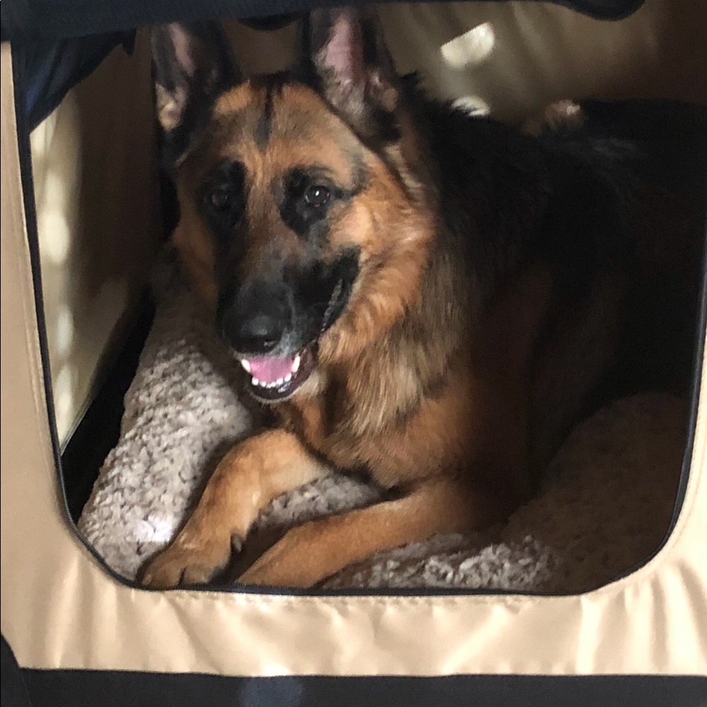 Meet your Posher, Lorri